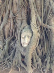 głowa Buddy z Wat Mahathat